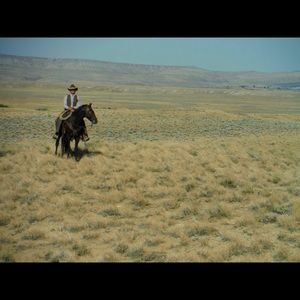 Meet your Posher, Peter